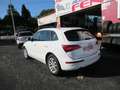 Audi Q5 2.0TDI Ambition Plus 150 Weiß - thumbnail 5