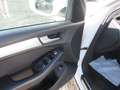 Audi Q5 2.0TDI Ambition Plus 150 Weiß - thumbnail 9
