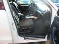 Audi Q5 2.0TDI Ambition Plus 150 Weiß - thumbnail 10