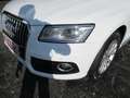Audi Q5 2.0TDI Ambition Plus 150 Weiß - thumbnail 12