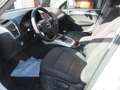 Audi Q5 2.0TDI Ambition Plus 150 Weiß - thumbnail 8