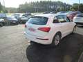 Audi Q5 2.0TDI Ambition Plus 150 Weiß - thumbnail 4