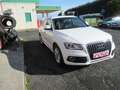 Audi Q5 2.0TDI Ambition Plus 150 Weiß - thumbnail 3