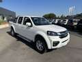 Great Wall Steed P. CONSEGNA PREMIUM P.LUNGO BENZ/GPL 4X4 PREZZO V Bianco - thumbnail 3
