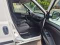 Opel Combo 1.3 Diesel Klima 19%Mwst. Weiß - thumbnail 9