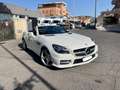 Mercedes-Benz SLK 250 cdi (be) Premium bijela - thumbnail 1