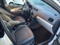 Volkswagen Polo 5p 1.4 tdi bm Fresh 90cv dsg Bianco - thumbnail 7