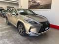 Lexus RX 450h RX Hybrid Executive GARANZIA UFFICIALE Grigio - thumbnail 5