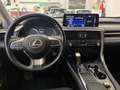 Lexus RX 450h RX Hybrid Executive GARANZIA UFFICIALE Grigio - thumbnail 7