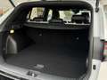 Kia Sportage Sportage 1.6 TGDi HEV AT GT-line My2026 Blanc - thumbnail 26