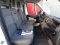 Peugeot Boxer 330 2.2 HDI L2H2 Profit+ Alb - thumbnail 12