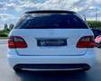 Mercedes-Benz E 500 500 Break / V8 5.5l 387 CH BVA 7 / Weiß - thumbnail 4