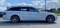 Mercedes-Benz E 500 500 Break / V8 5.5l 387 CH BVA 7 / Blanc - thumbnail 6