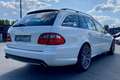 Mercedes-Benz E 500 500 Break / V8 5.5l 387 CH BVA 7 / Weiß - thumbnail 5
