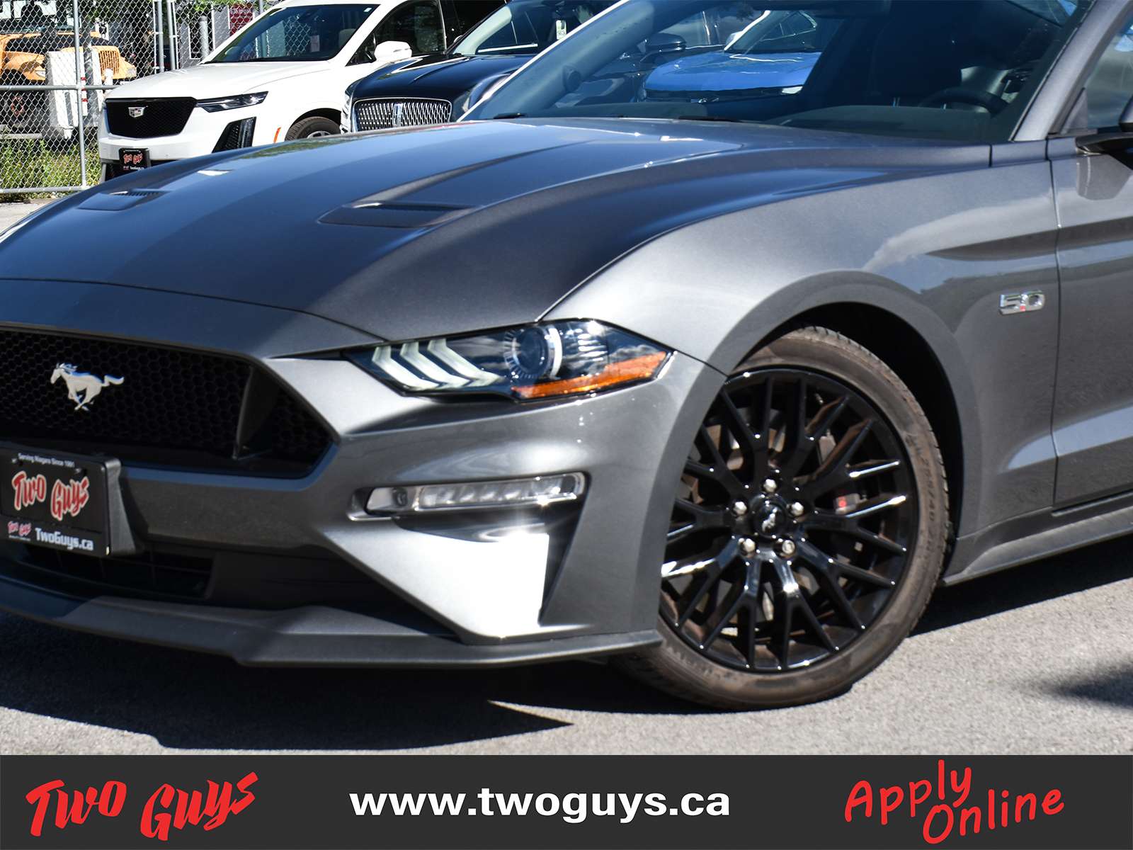 2021 Ford Mustang Fastback GT 5.0L Auto | Nav | Performance Pkg + Exhaust | photo 2