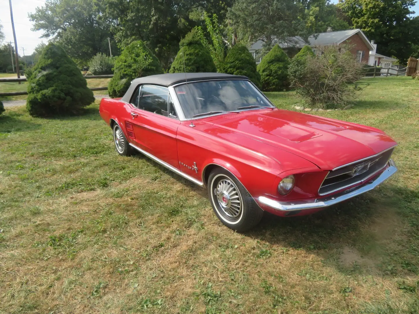 Ford Mustang Cabrio, S-Code, 390ci V8 BigBlock, Top-Gelegenheit Rot - 2