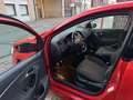 Volkswagen Polo 1.4 CR TDi MET 124DKM HANDELAARS & EXPORT Rouge - thumbnail 5
