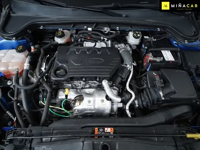 Ford Focus view 26