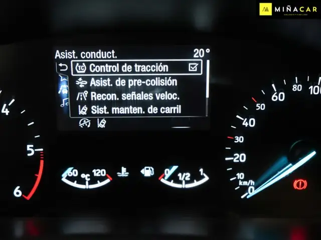 Ford Focus view 11