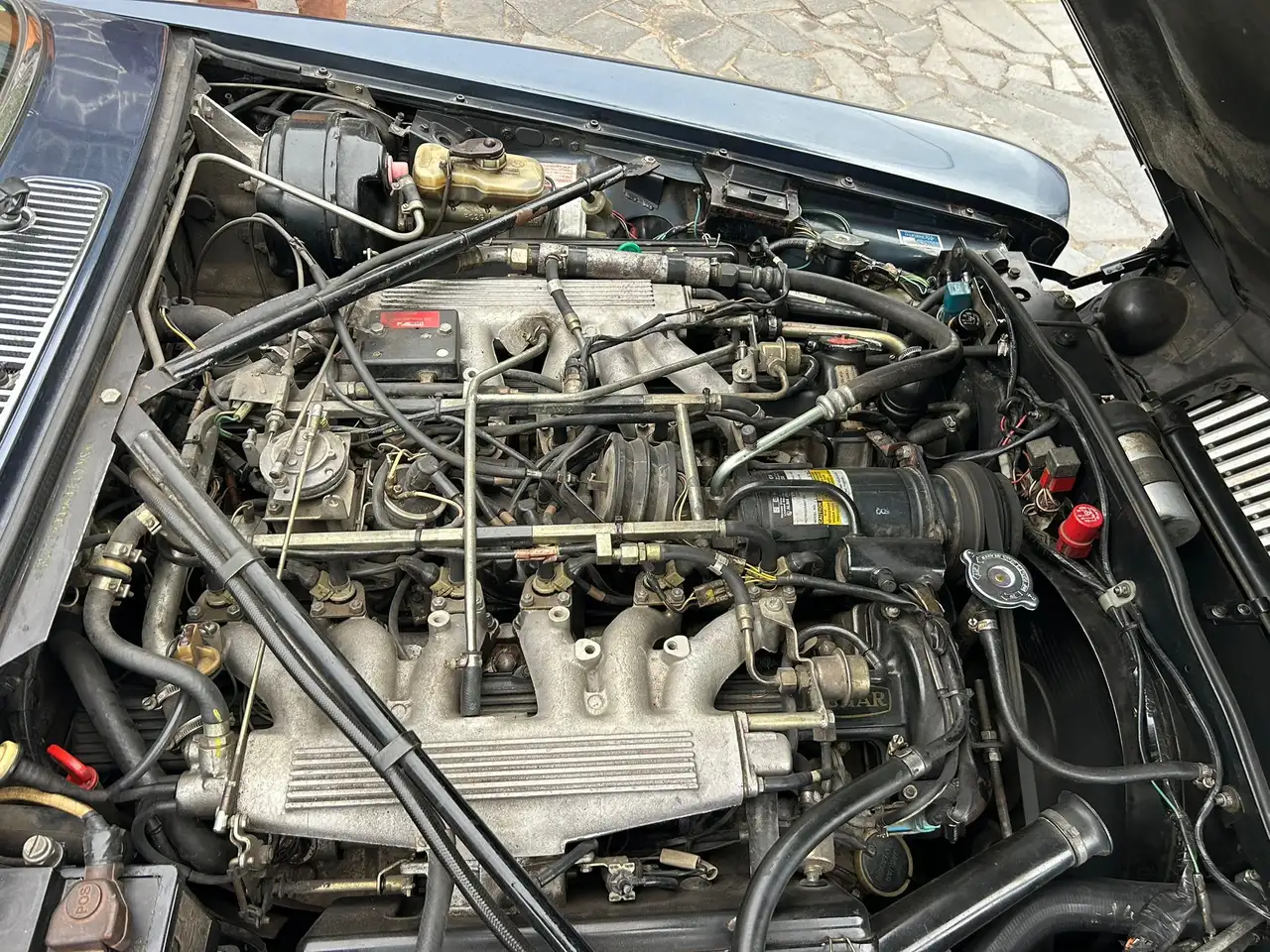 Jaguar XJ12 5.3 V12 HE Sovereign, foto 8