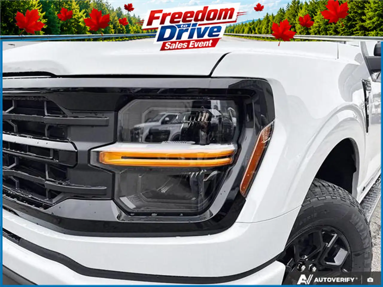 Ford F 150 fotografie Ford F 150