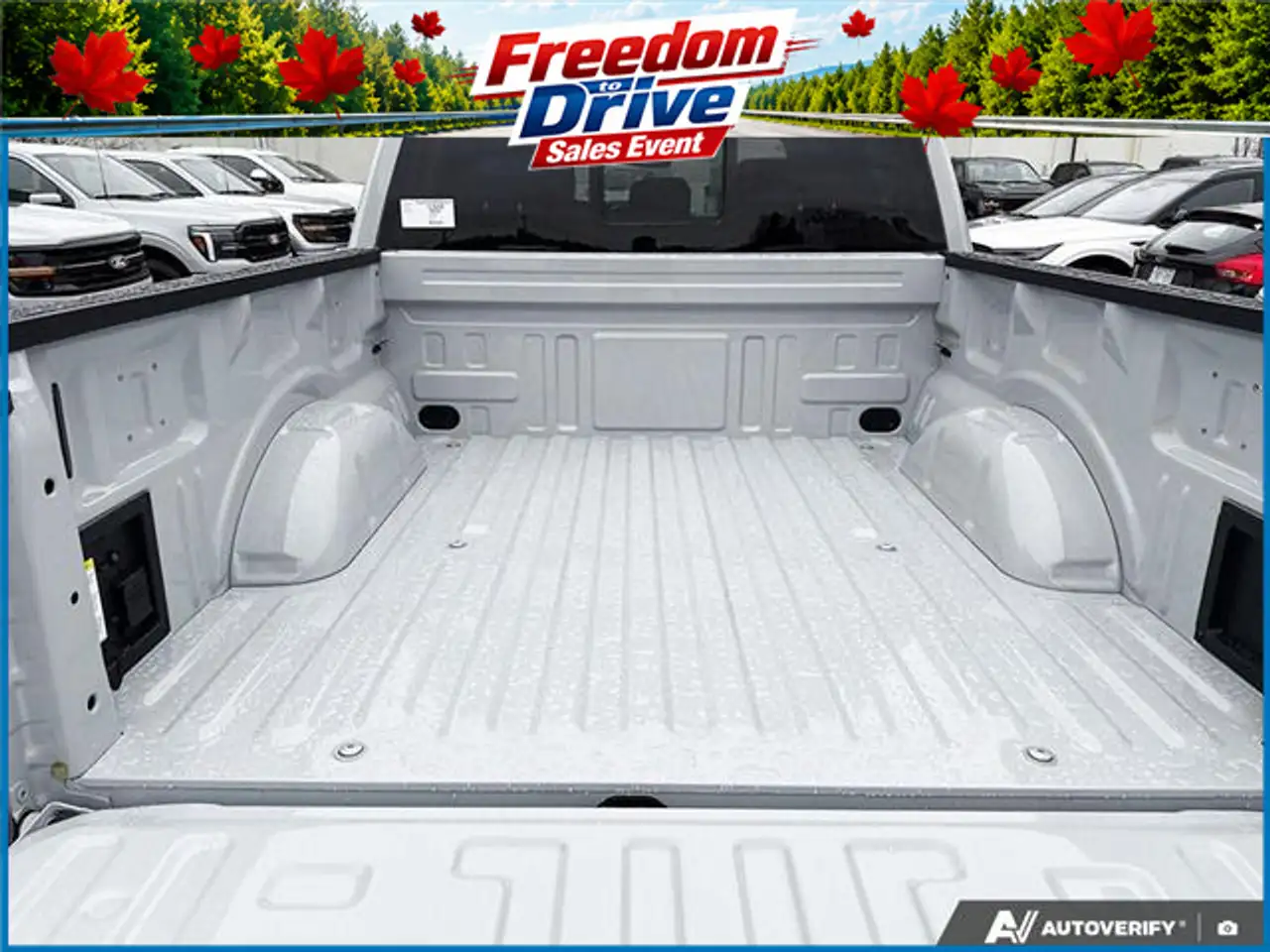 Ford F 150 fotografie Ford F 150