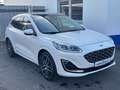 Ford Kuga 2.5 PHEV VIGNALE LEDER*LED*PANORAMA*AHK Blanc - thumbnail 15