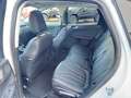 Ford Kuga 2.5 PHEV VIGNALE LEDER LED PANORAMA AHK Bianco - thumbnail 11