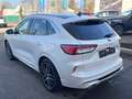 Ford Kuga 2.5 PHEV VIGNALE LEDER*LED*PANORAMA*AHK Blanc - thumbnail 12