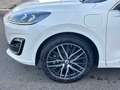 Ford Kuga 2.5 PHEV VIGNALE LEDER LED PANORAMA AHK Bianco - thumbnail 3