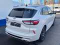 Ford Kuga 2.5 PHEV VIGNALE LEDER LED PANORAMA AHK Bianco - thumbnail 14