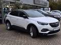 Opel Grandland X Ultimate I 360° Kamera I AHK I Mod20 Blanc - thumbnail 3