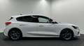 Ford Focus 1.0 EcoBoost Hybrid Active X Business CARPLAY CAME Wit - thumbnail 14