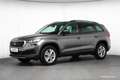Skoda Kodiaq 2.0 TDI 7 SITZE VIRTUAL R-KAM ASSISTENZ KOMFORT Grau - thumbnail 38