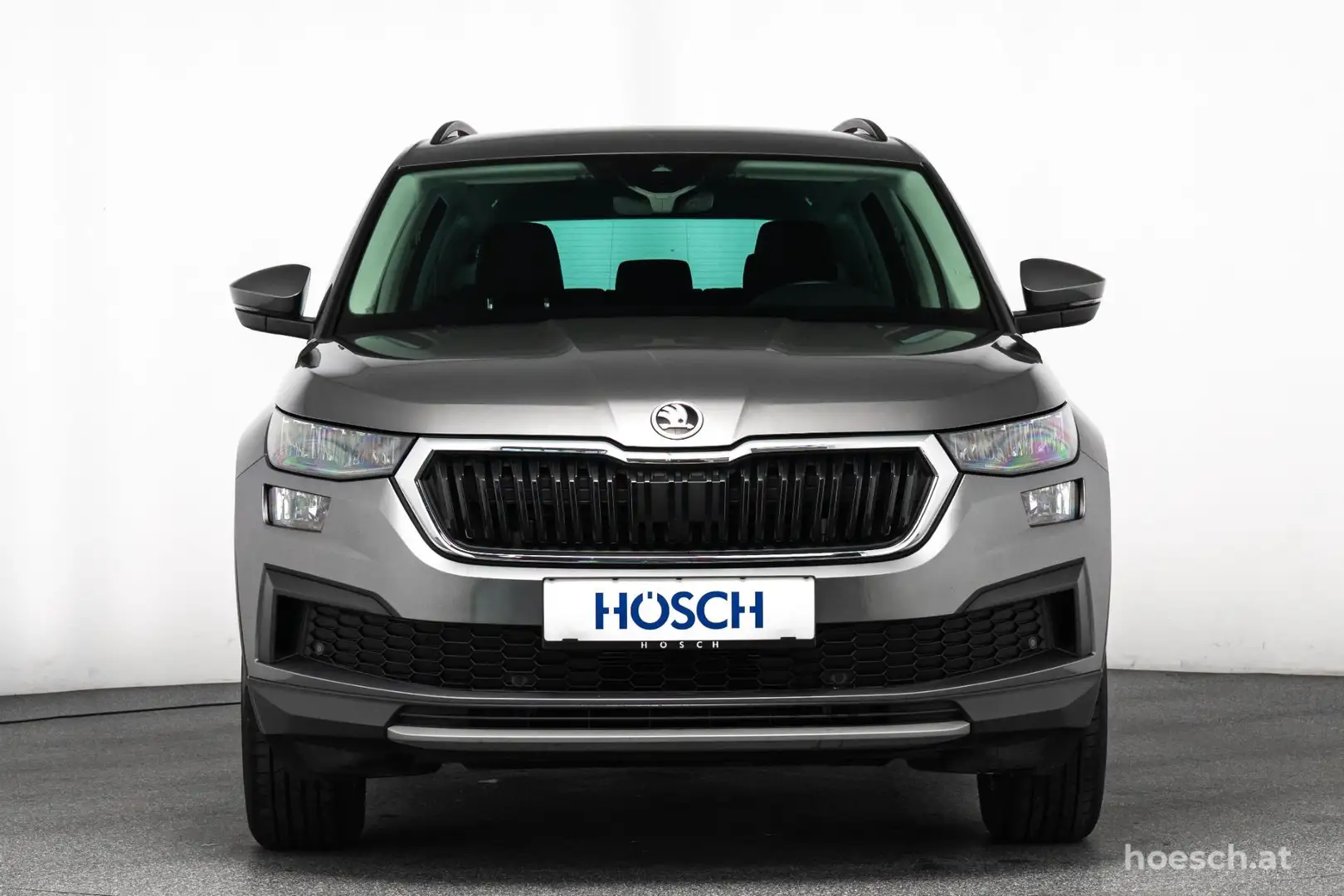 Skoda Kodiaq 2.0 TDI 7 SITZE VIRTUAL R-KAM ASSISTENZ KOMFORT Grau - 2