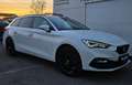 SEAT Leon Leon SP DSG FR,Panoramadach,Leder Weiß - thumbnail 1