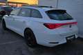 SEAT Leon Leon SP DSG FR,Panoramadach,Leder Weiß - thumbnail 6