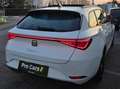 SEAT Leon Leon SP DSG FR,Panoramadach,Leder Weiß - thumbnail 7