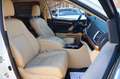 Toyota Highlander Hybrid Limited AWD/360°/JBL/7-SITZER Blanco - thumbnail 21