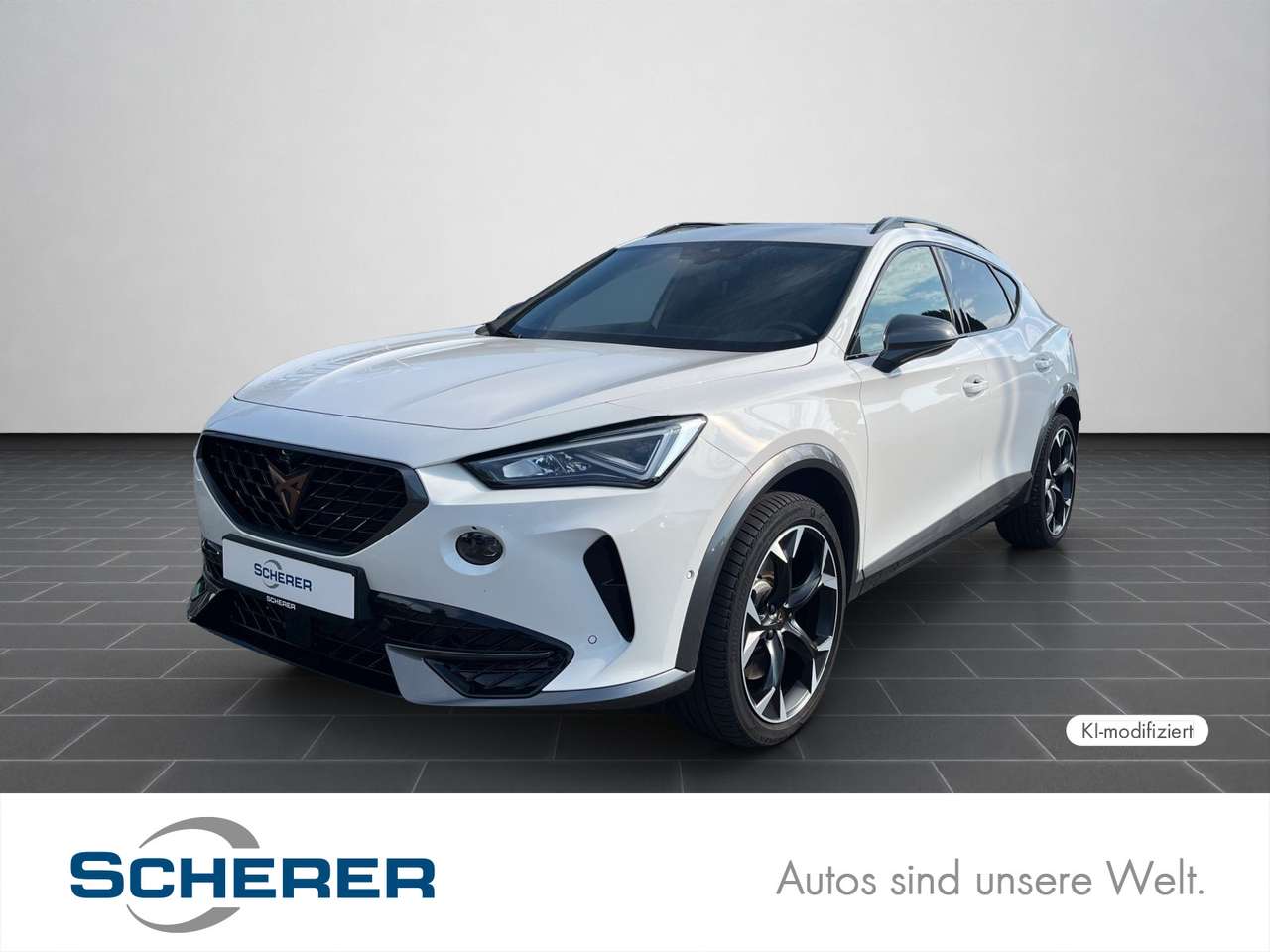 Cupra Formentor — Cupra Formentor 2.0 TSI VZ Top View, SHZ, AHK, ACC, Tr
