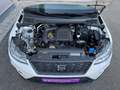 SEAT Arona TSI Reference **PICKERL NEU**SERVICE NEU** Weiß - thumbnail 7
