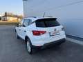 SEAT Arona TSI Reference **PICKERL NEU**SERVICE NEU** Weiß - thumbnail 6