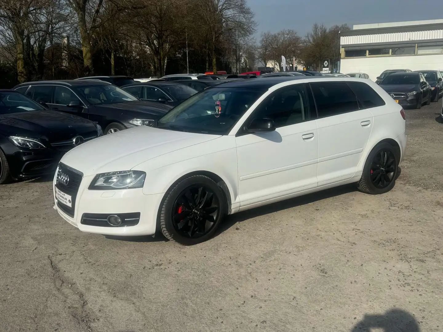 Audi A3 2.0 TDI Sportback  1-prop Gris - 1