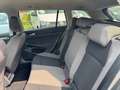 Volkswagen Golf TDI 4MOTION DSG Bianco - thumbnail 14