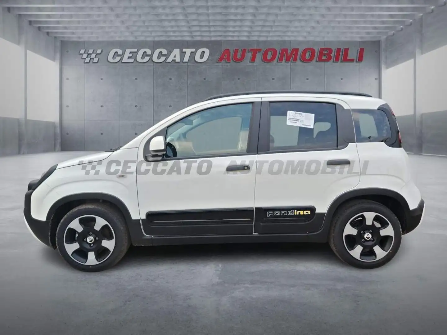 Fiat Panda Panda My25 1.0 70cv Hybrid Pandina Bianco - 2