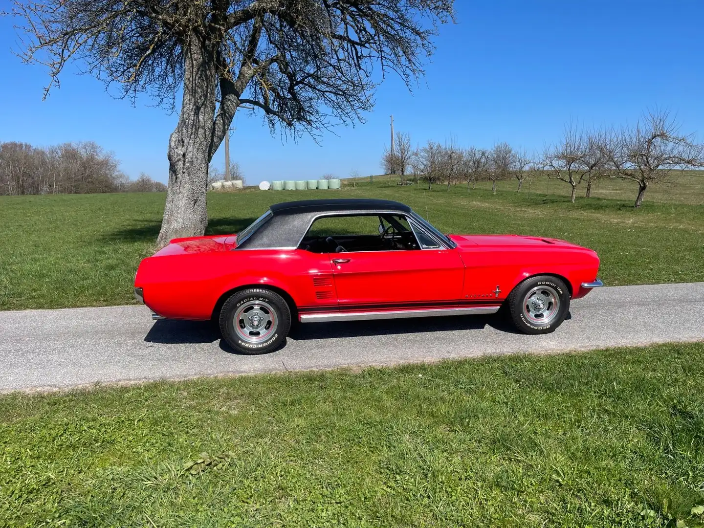Ford Mustang Scheibenbr.,Servo,Automatik,toller Lack Rouge - 1