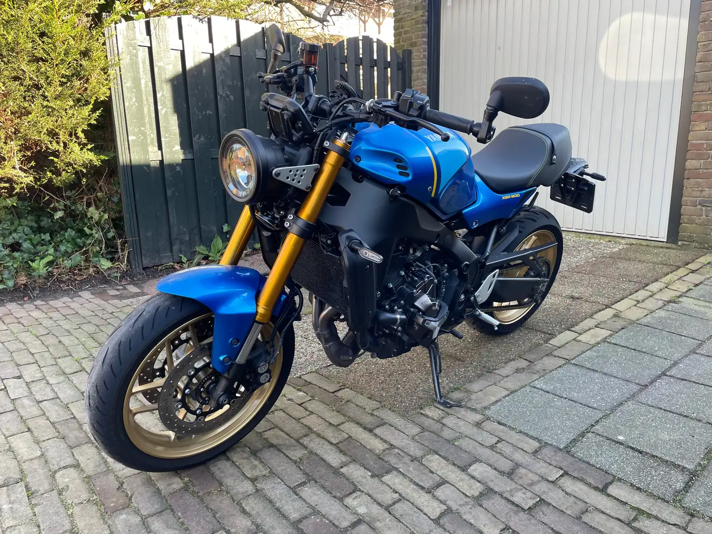 Yamaha XSR 900 Mavi - 2