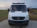 Mercedes-Benz Sprinter 316 NGT *Top Zustand* - thumbnail 2