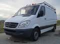 Mercedes-Benz Sprinter 316 NGT *Top Zustand* - thumbnail 1