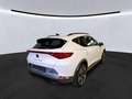 CUPRA Formentor 1.5TSI DSG Link ACC LED SHZ PLA 360° Weiß - thumbnail 4